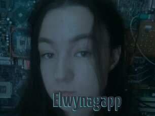 Elwynagapp