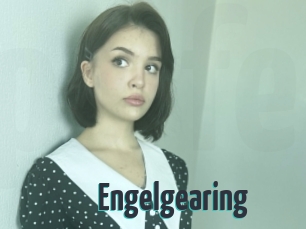 Engelgearing