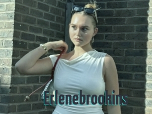 Erlenebrookins