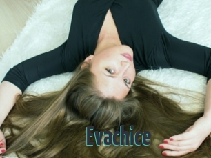 Evachice