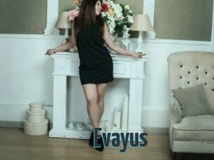 Evayus