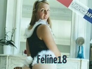 Feline18