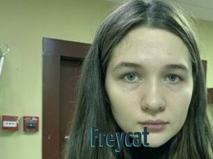 Freycat