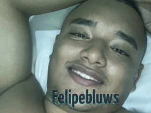 Felipebluws