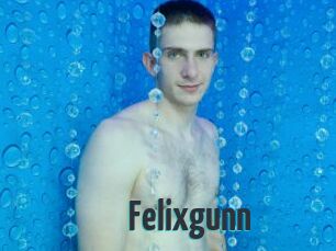 Felixgunn