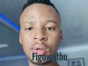 Figowethu