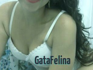 GataFelina