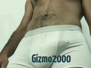 Gizmo2000