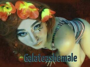 Galateashemale