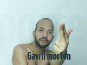 Gavril_morton