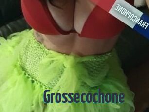 Grossecochone