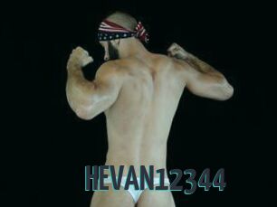 HEVAN12344