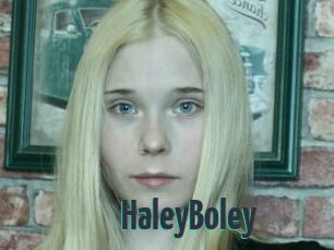 HaleyBoley