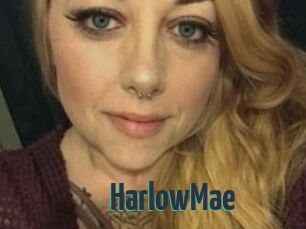 Harlow_Mae