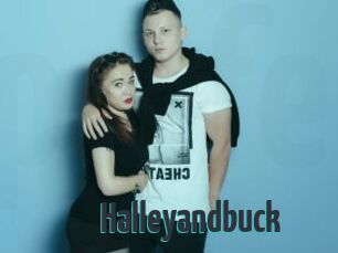 Halleyandbuck