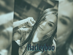 Harleyboo