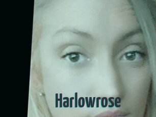 Harlowrose