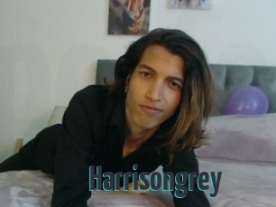 Harrisongrey