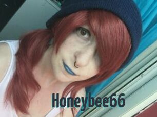 Honeybee66