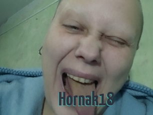 Hornak18