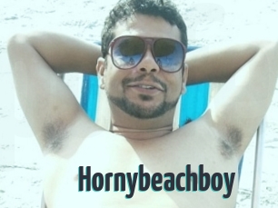 Hornybeachboy