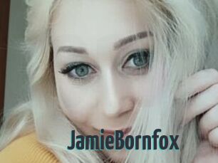 JamieBornfox