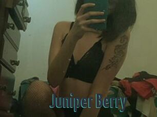 Juniper_Berry