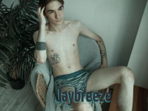 Jaybreeze