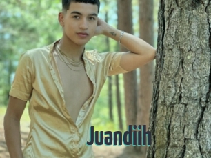 Juandiih