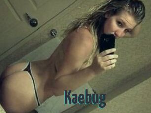 Kaebug