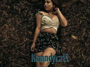 Kanndycatt