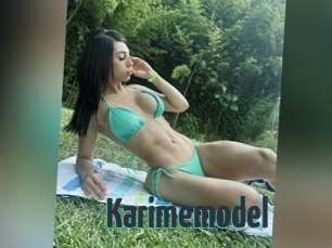 Karimemodel