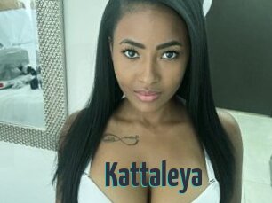 Kattaleya