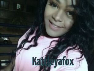 Kattleyafox