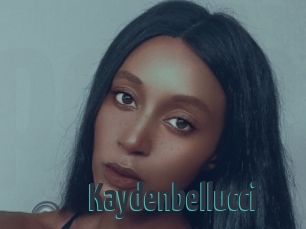 kaydenbellucci Porn Fellow
