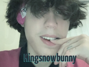 Kingsnowbunny