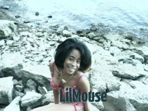 LilMouse Porn Fellow