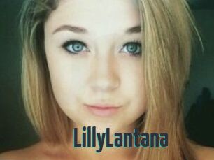 LillyLantana