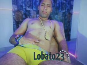 Lobato23