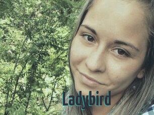 Ladybird