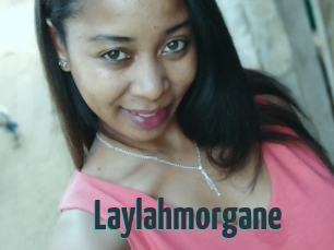 Laylahmorgane