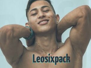 Leosixpack