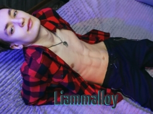 liammalloy Porn Fellow