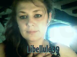 Libellule39