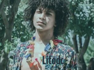 Litodc