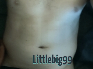 Littlebig99