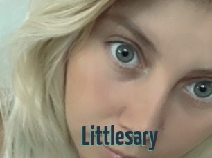 Littlesary