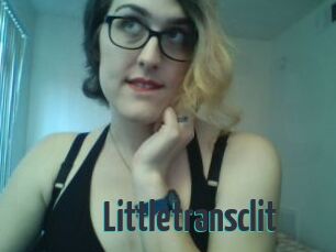 littletransclit Porn Fellow