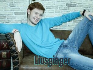 Liusginger