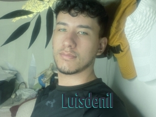 luisdenil Porn Fellow